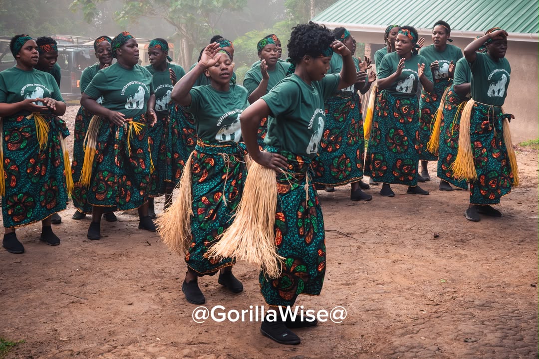 Gorillawise safari experience